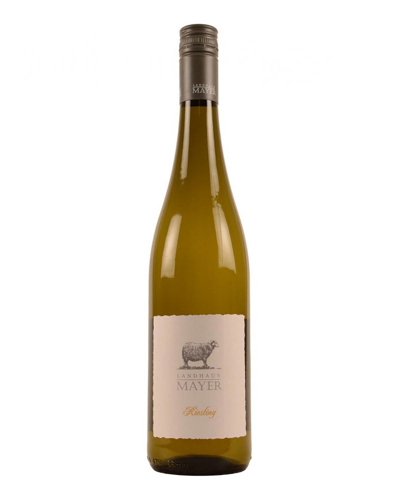 LANDHAUS MAYER RIESLING FALSTAFF